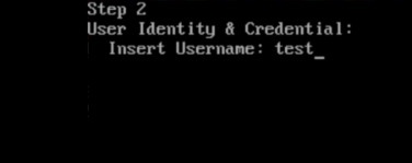 Memora OS Installer: Enter username step
