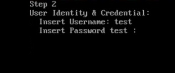 Memora OS Installer: Enter password step