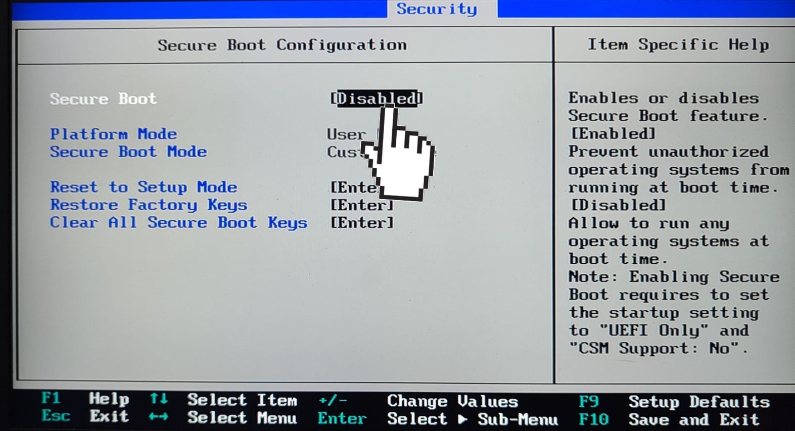 Secure Boot Setting 2