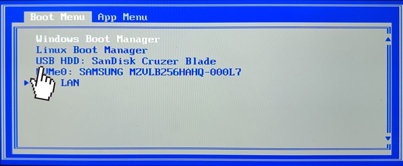 Boot Menu Selection